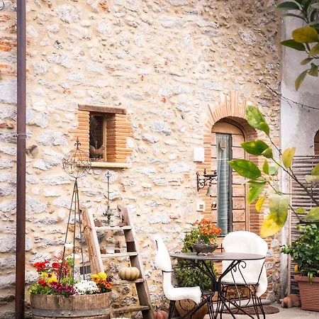 Dolci Risvegli Nella Natura - Tuscan Dream Feriehus Camaiore